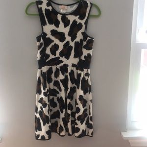 Perfect dress for work or event!